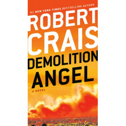 Demolition Angel: A Novel