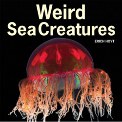 Weird Sea Creatures
