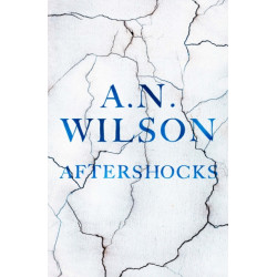 Aftershocks