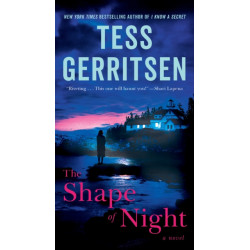 The Shape of Night: A Novel