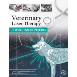 Veterinary Laser Therapy in Small Animal Practice