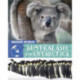Wildlife Worlds: Australasia and Antarctica