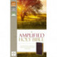Amplified Holy Bible, Bonded Leather, Burgundy, Thumb Indexed: Captures the Full Meaning Behind the Original Greek and Hebrew