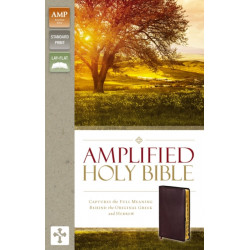 Amplified Holy Bible, Bonded Leather, Burgundy, Thumb Indexed: Captures the Full Meaning Behind the Original Greek and Hebrew
