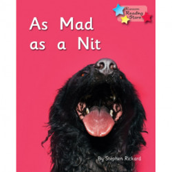 As Mad as a Nit: Phonics Phase 2