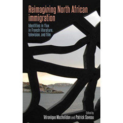 Reimagining North African Immigration: Identities in Flux in French Literature, Television, and Film