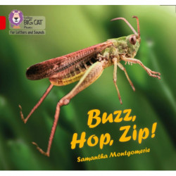 Buzz, Hop, Zip!: Band 02a/Red a