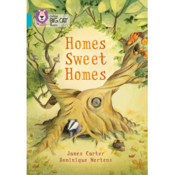 Homes Sweet Homes: Band 07/Turquoise