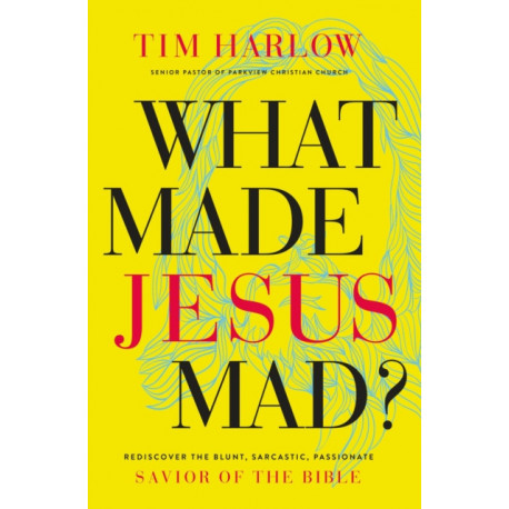 What Made Jesus Mad?*: Rediscover the Blunt, Sarcastic, Passionate Savior of the Bible