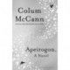 Apeirogon: a novel about Israel, Palestine and shared grief, nominated for the 2020 Booker Prize