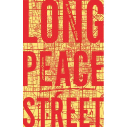 Long Peace Street: A Walk in Modern China