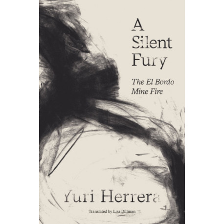 A Silent Fury: The El Bordo Mine Fire