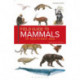 Field Guide to the Mammals of South-east Asia (2nd Edition)