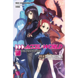 Accel World, Vol. 19 (light novel)