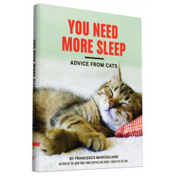 You Need More Sleep: Advice From Cats