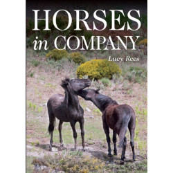 Horses in Company