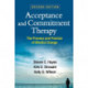 Acceptance and Commitment Therapy, Second Edition: The Process and Practice of Mindful Change