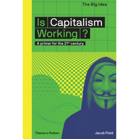 Is Capitalism Working?: A primer for the 21st century