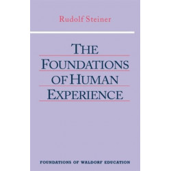 The Foundations of Human Experience