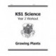 KS1 Science Year 2 Workout: Growing Plants