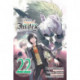 A Certain Magical Index, Vol. 22 (manga)