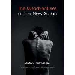 The Misadventures of the New Satan