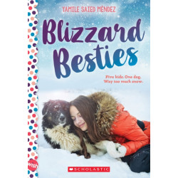 Blizzard Besties: A Wish Novel