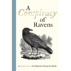 A Conspiracy of Ravens: A Compendium of Collective Nouns for Birds