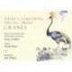 There's Something Special About Cranes: Memories and Anecdotes of the 15 Species of Crane