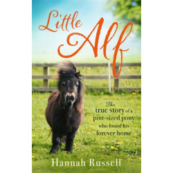 Little Alf: The true story of a pint-sized pony who found his forever home