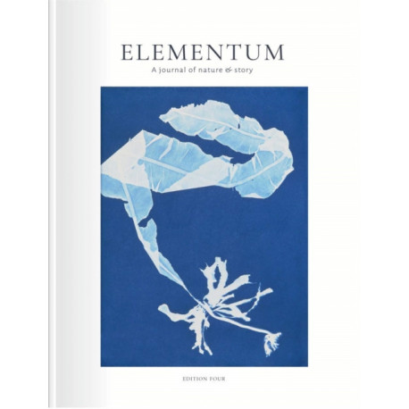Elementum Journal: Shape