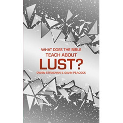 What Does the Bible Teach about Lust?: A Short Book on Desire