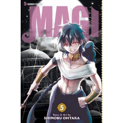 Magi: The Labyrinth of Magic, Vol. 5