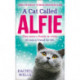 A Cat Called Alfie