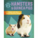 Pet Expert: Hamsters and Guinea Pigs