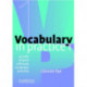 Vocabulary in Practice 1