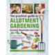 Practical Guide to Allotment Gardening: Growing Vegetables and Fruit: Step-by-step techniques for cultivating organic produce on your plot all year round