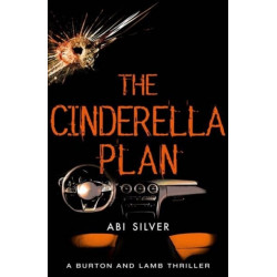 The Cinderella Plan: A legal thriller with a topical AI twist