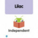 Bug Club Pro Independent Lilac Pack (May 2018)