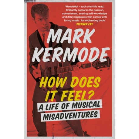 How Does It Feel?: A Life of Musical Misadventures