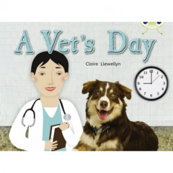 Bug Club Non-fiction Green B/1B A Vet's Day 6-pack