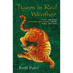 Tigers In Red Weather