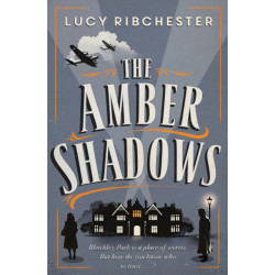 The Amber Shadows