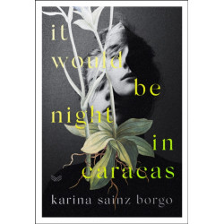 It Would Be Night in Caracas