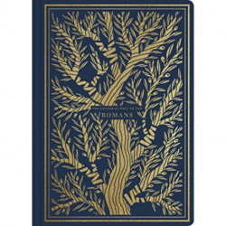 ESV Illuminated Scripture Journal: Romans (Paperback)