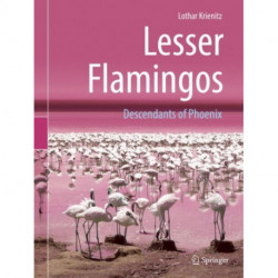 Lesser Flamingos: Descendants of Phoenix