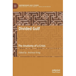 Divided Gulf: The Anatomy of a Crisis