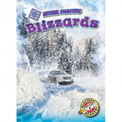 Blizzards