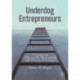 Underdog Entrepreneurs: A Framework of Success for Marginalized and Minority Innovators