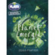 Julia Donaldson Plays Green/1B Planet Emerald 6-pack